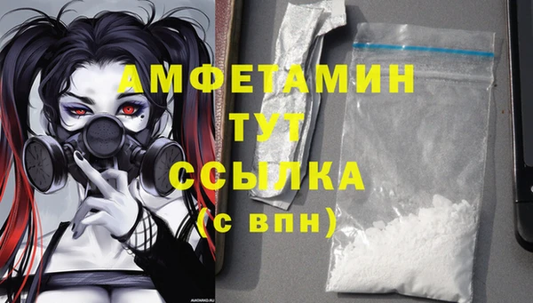 гидра Алагир