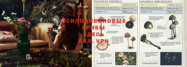герыч Михайлов